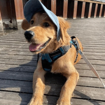 🔥Outdoor sun canopy for dogs