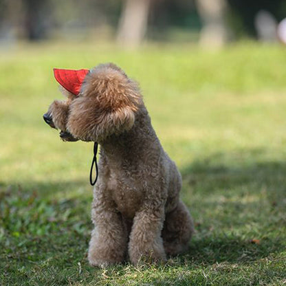 🔥Outdoor sun canopy for dogs