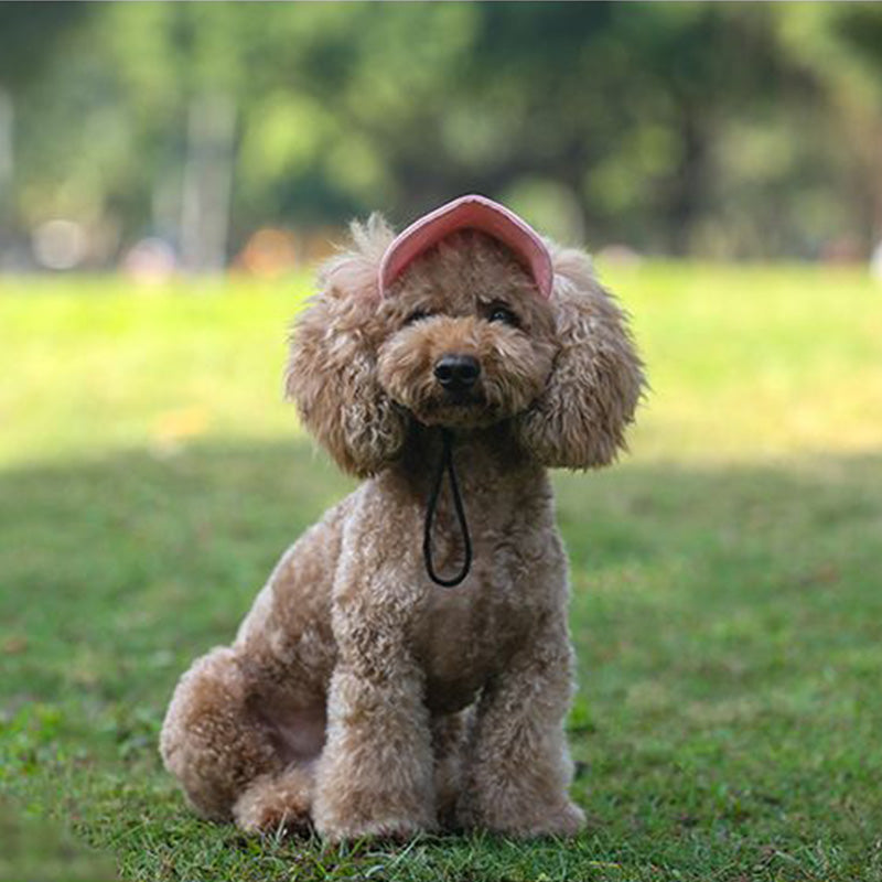 🔥Outdoor sun canopy for dogs