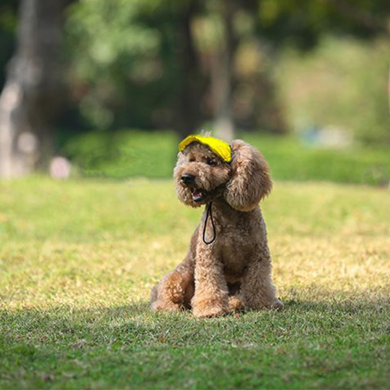 🔥Outdoor sun canopy for dogs