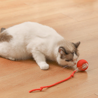 🐱🐶Smart Automatic Rolling Pet Ball