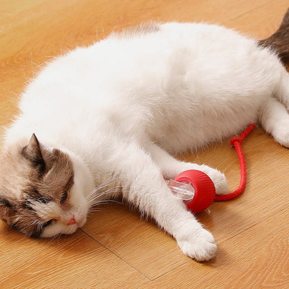 🐱🐶Smart Automatic Rolling Pet Ball