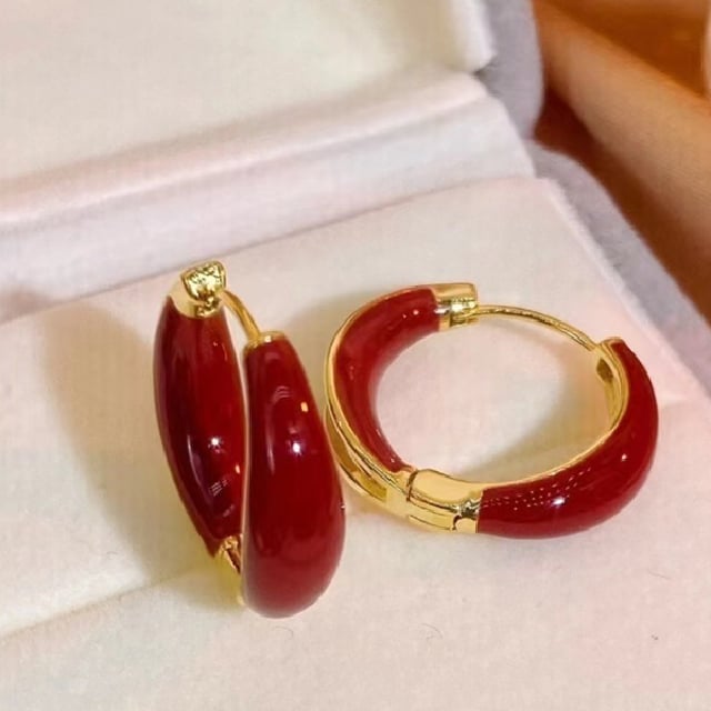 Elegant And Fashionable Hoop Earrings