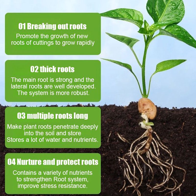All-purpose Rooting Solution for All Plants